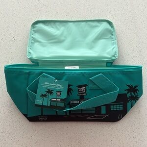 Trader Joe’s Mini Insulated Bag - Teal Color, New, NWT